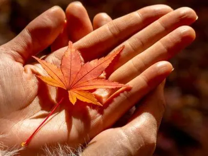 Meditation To Rebuild Self-Trust After Disappointment