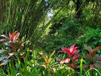 Meditation To Receive Love & Nourishment