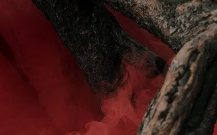 Meditation To Reconnect And Ground