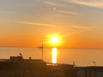 Meditation To Regulate Amidst Chaotic Situations