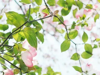 Meditation To Relax Fully And Release Anxiety