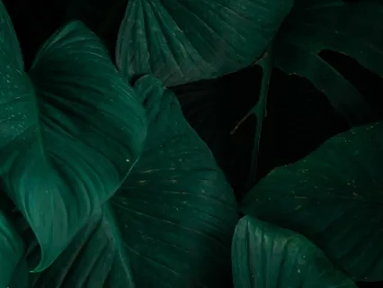 Meditation To Relax Your Body