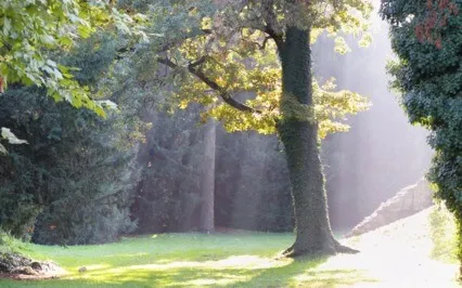 Meditation To Release Anger & Lower Vibrations