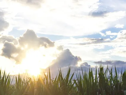 Meditation To Release Anger & Resentment