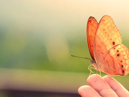 Practice To Release Guilt And Raise Vibration