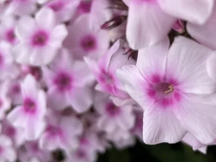 Meditation To Release Stress