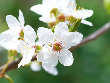 Release Stress And Anxiety