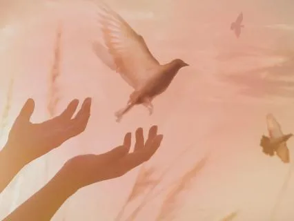 Meditation To Release Stress And Anxiety