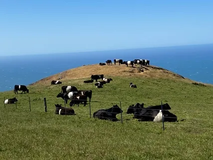 Meditation To Release Stress & Worry