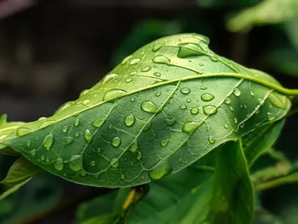 Meditation To Release The Anxiety Of Change