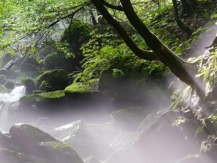 Meditation To Relieve Stress And Tension