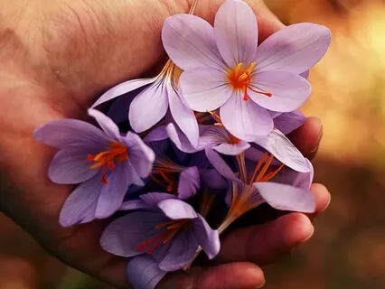 Meditation To Safely Manage Anger