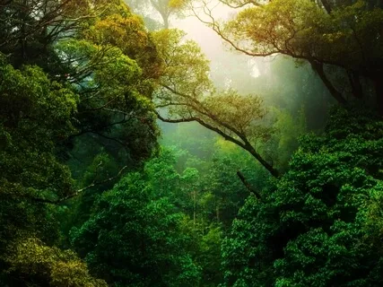 Difficult Emotions: Meditation To Shift A Funky Vibe