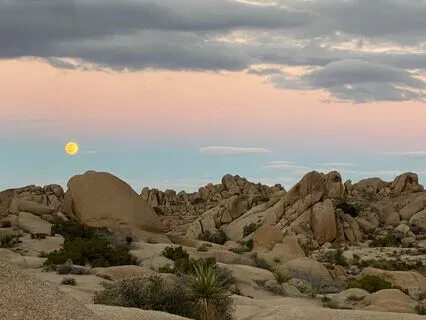 Meditation To Shift Perspective