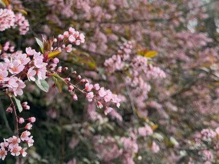 Meditation To Slow Down, Breathe, & Connect With Your Body