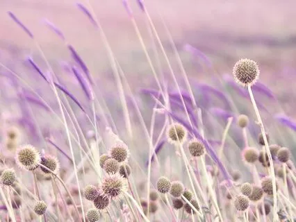 Meditation To Soothe Your Nerves And Heal Your Mind