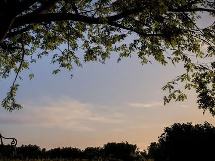 Ignite Sparks Of Gratitude