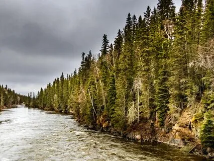 Meditation To Stay In Alignment With Your Purpose