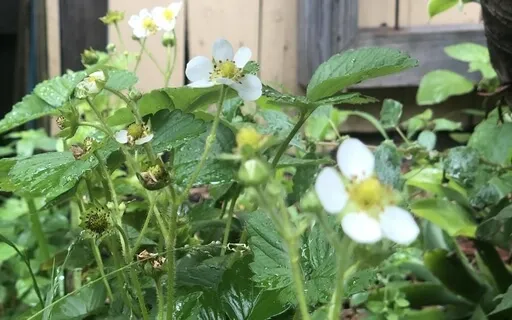 Meditation To Step Into Your Highest Self