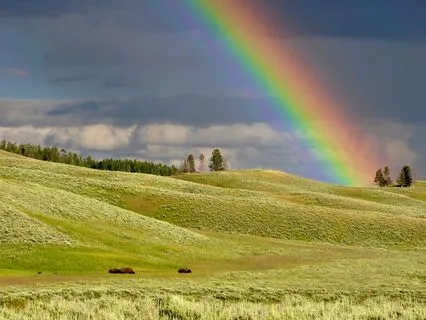 Meditation To Take Inventory Of Your Emotions - No Music