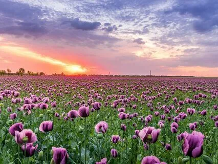 Meditation To Unhook From Parental Guilt