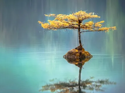 Meditation To Unwind At The End Of The Day