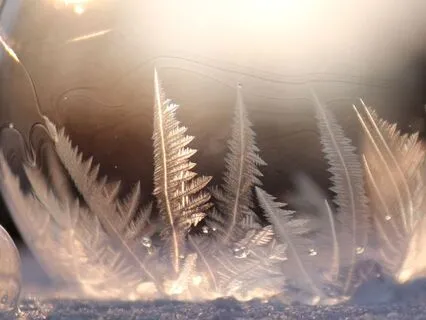 Meditation To Warm Winter Blues