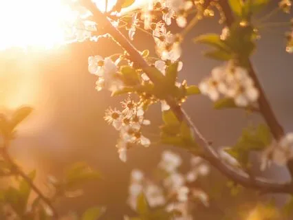 Meditation To Welcome Spring