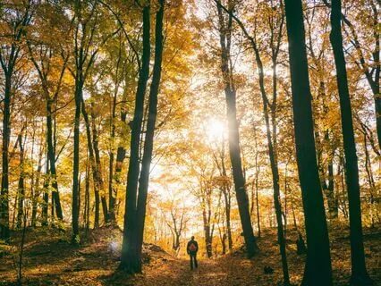 Infinite Voices And Piano