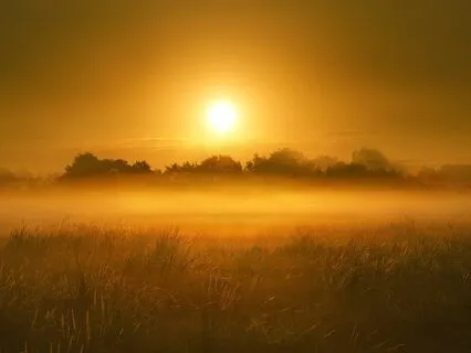 Meditation Upon Waking