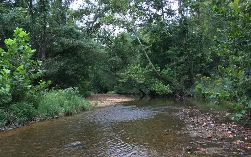 Meditation: Why Can't I Get Utterly Enthralled With Breath?