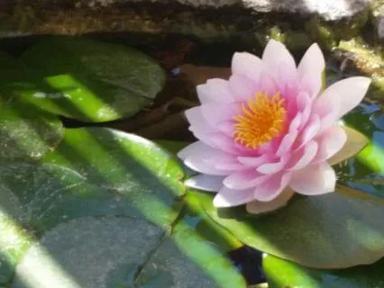 מדיטציה, עם זרם מים זורמים