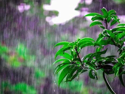 Meditation With Rain Sounds For Deep Relaxation