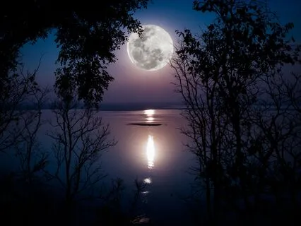 Meditation With Still Moonlit Lake Yoga Nidra