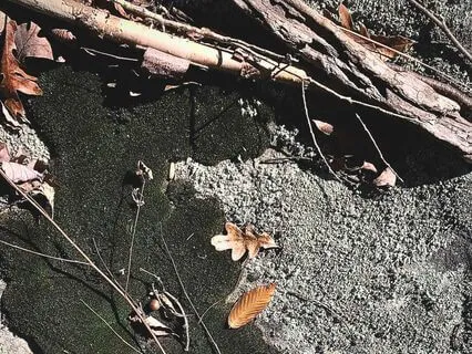 Meditation With The Four Elements