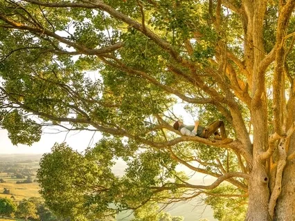 Meditation With The Trees For Times Of Anxiety