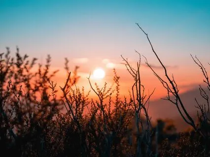 Your Inner Dashboard