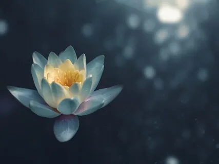 Practice For Entering Hospital - Power Of Mind-Body Medicine