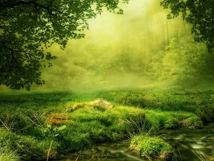 Meditations For Forgiveness And Letting Go