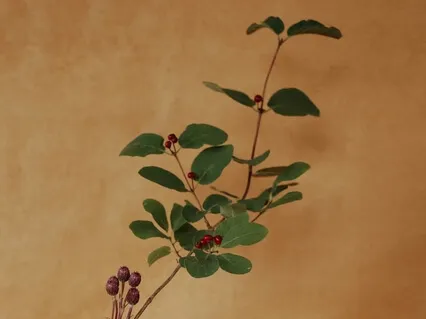 Meditations For Troubled Times - 2 : Slow Down