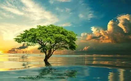 Meditations For World Peace In 8D Soundscape