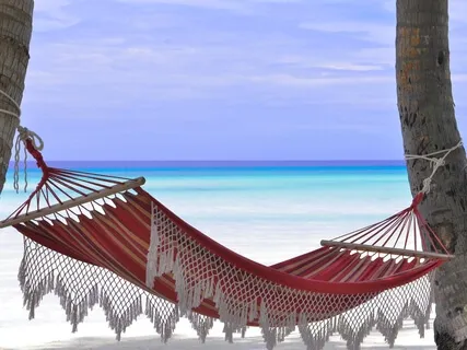 Meditations From The Hammock Series: Friendship