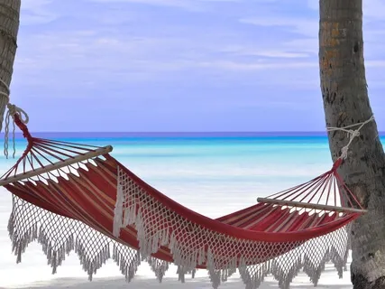 Meditations From The Hammock Series: Pause