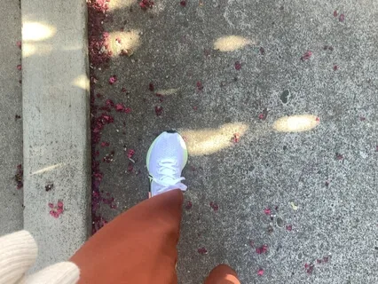 Meditations On Being 