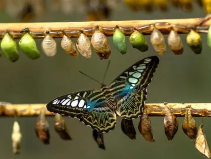 Meditations On The Tarot - 3