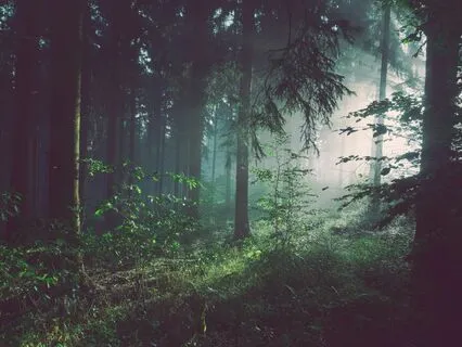 Meditations På Norsk #1