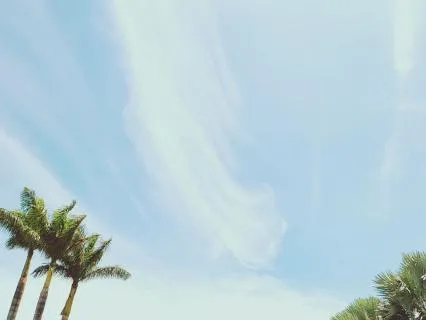 Meditationscape: Flow Of The Tropics