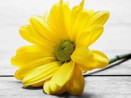 Meditative Affirmations For A Positive Projection