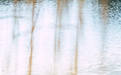 Meditative And Hypnotic: Beautiful Dream
