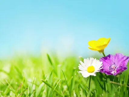 Meditative & Progressive Muscle Relaxation